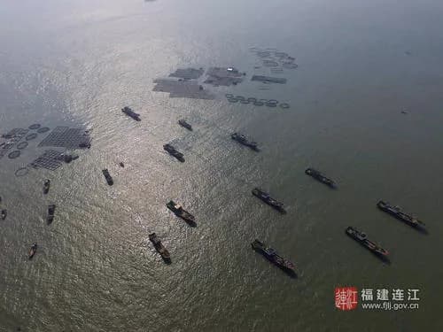定海白礁水下沉船遗址
