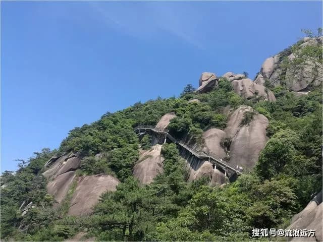 睡美人