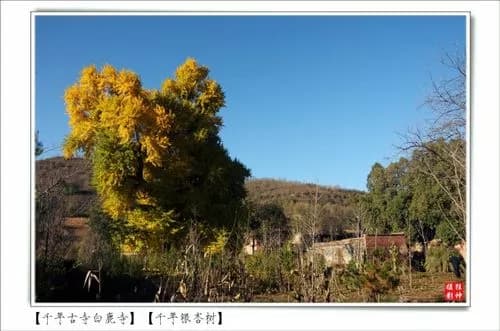 白鹿古寺