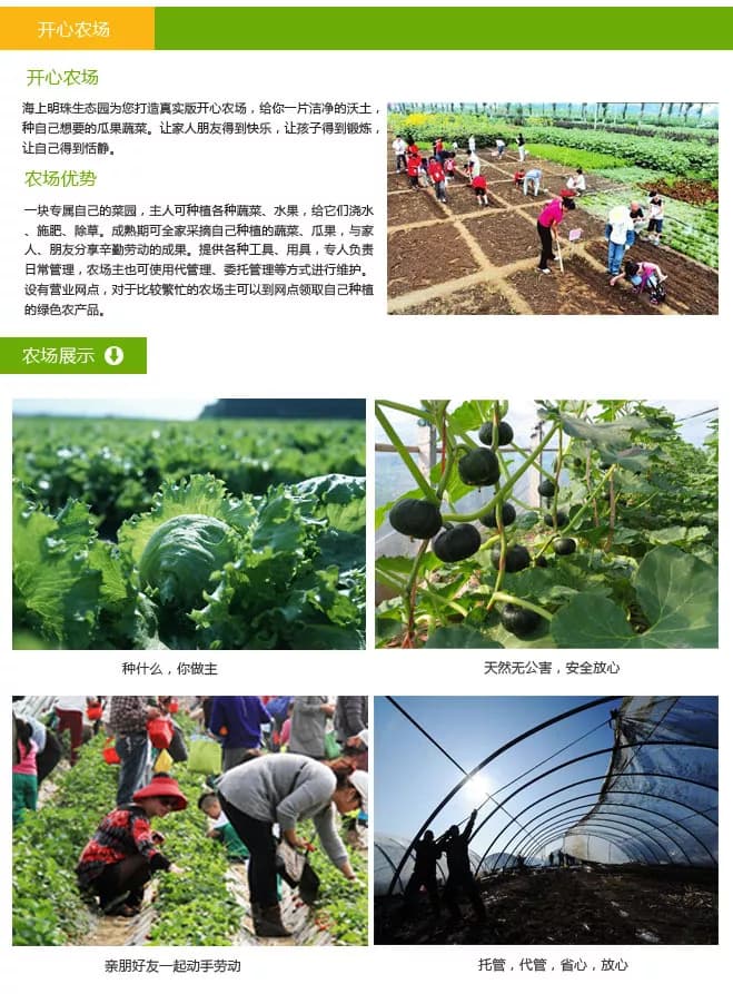 海上明珠