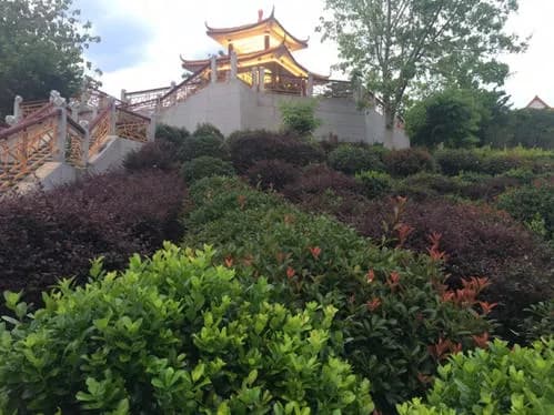 仙游植物园