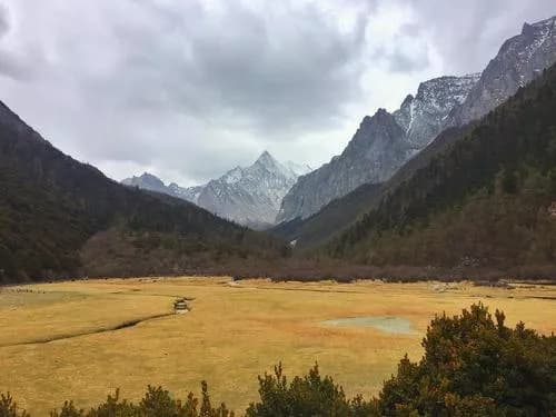 夏纳多吉