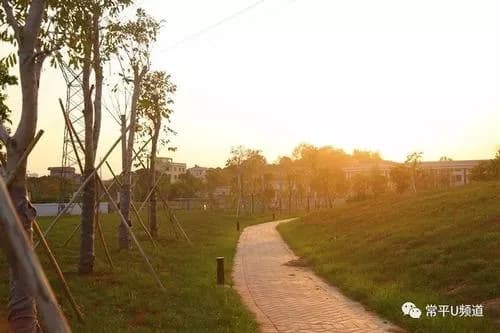 常平堡农村公园