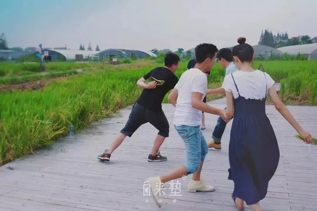 南坑仁和仙桥