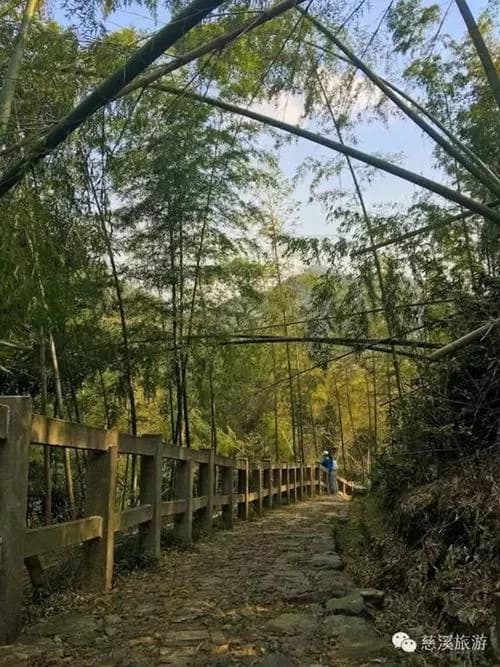 根岭倒桥