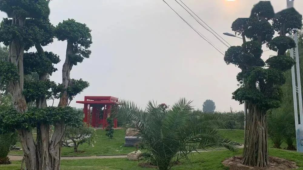 羊亭义和遗址