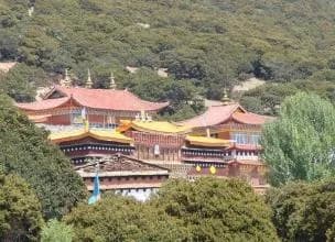 直共寺