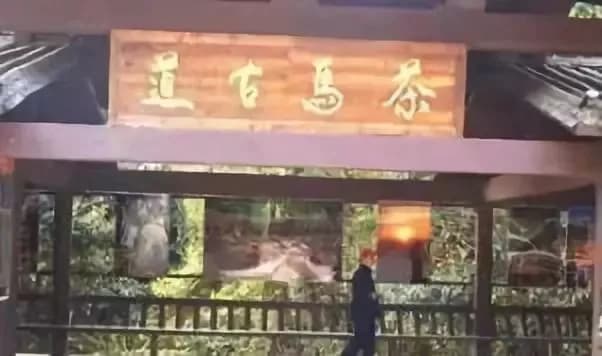 茶马古道-鹦哥嘴