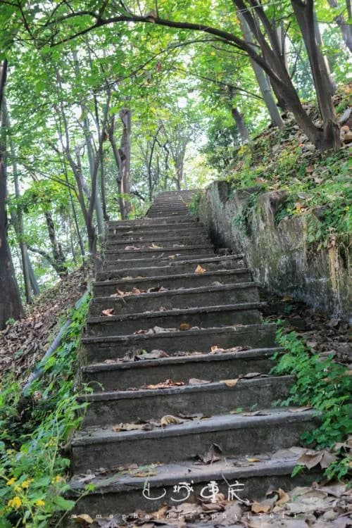 老道炉山城