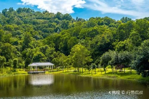 大运自然公园