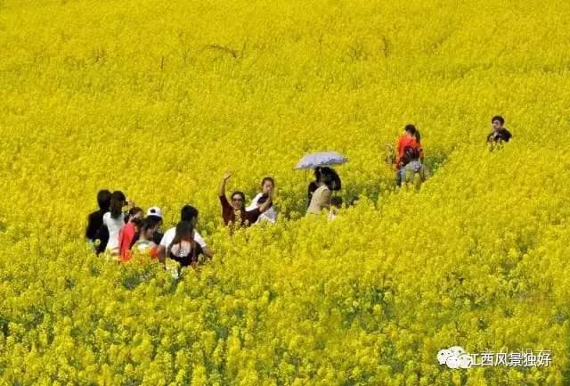 湘东（萍乡）苏维埃政府旧址