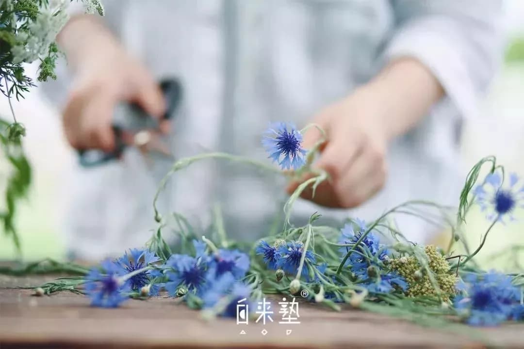 南坑仁和仙桥