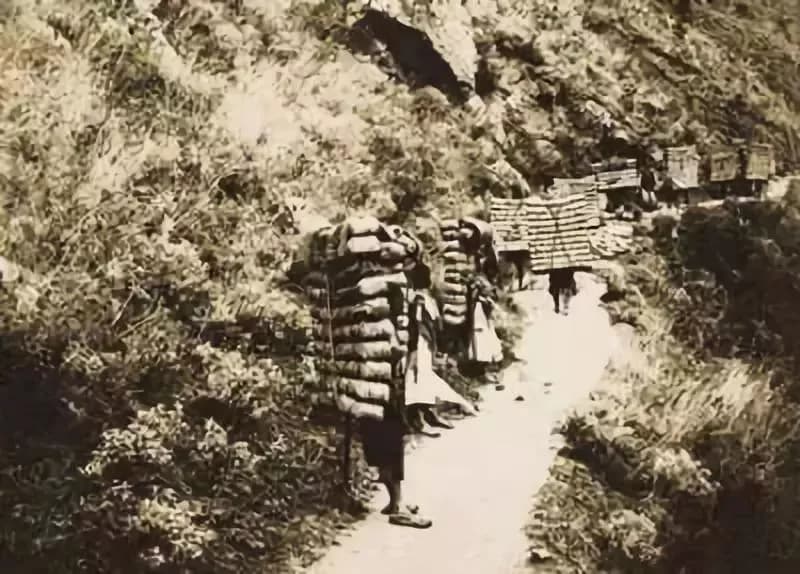 茶马古道-鹦哥嘴