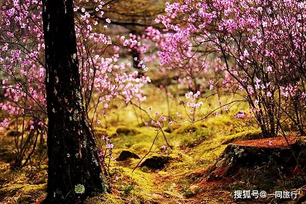 扎兰屯风景名胜区