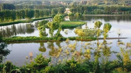 柳巷东西涧湿地