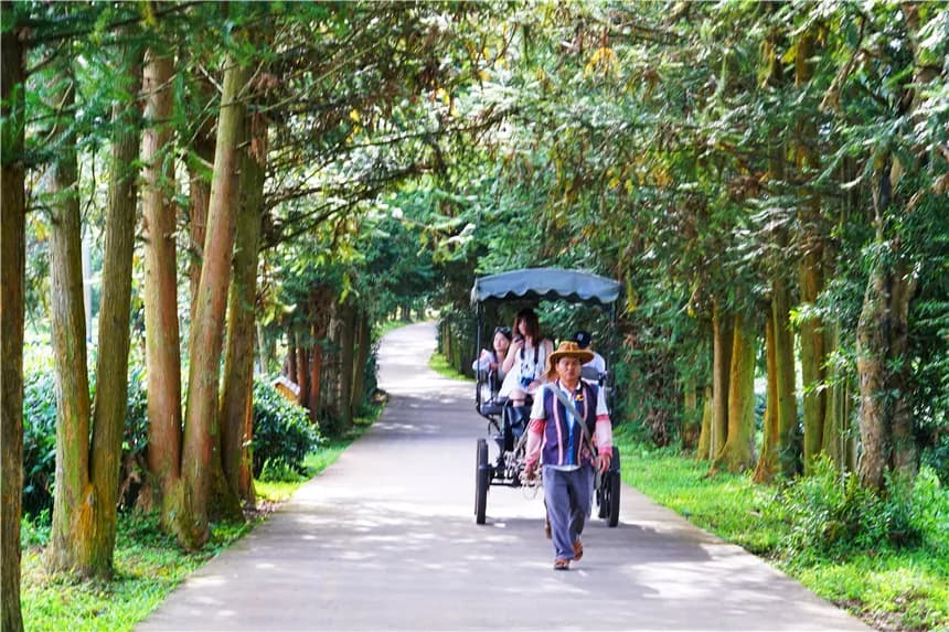 茶马古道-鹦哥嘴