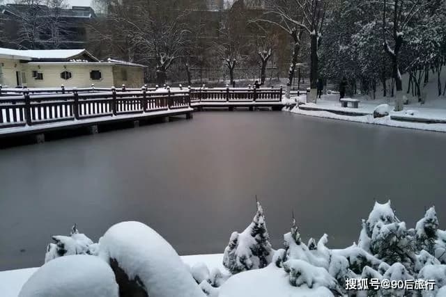 天池和森林