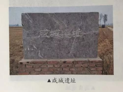 濮家墩遗址
