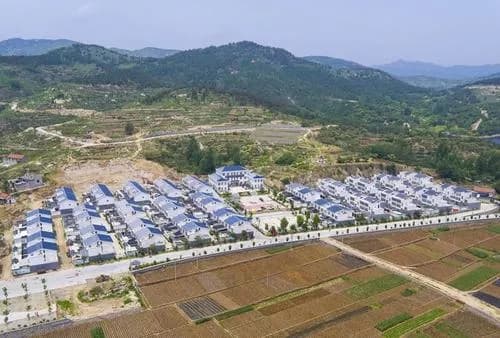 王老村