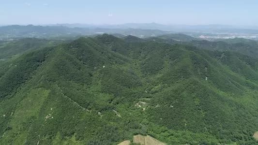 卧龙山山城遗址