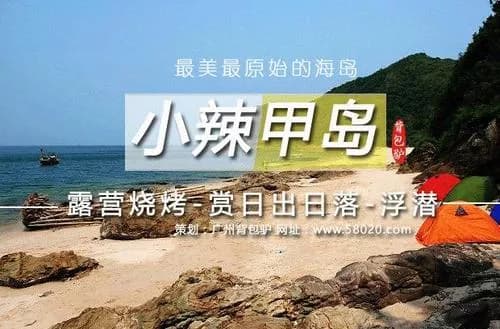 小辣甲