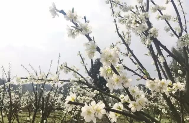 李和美屋