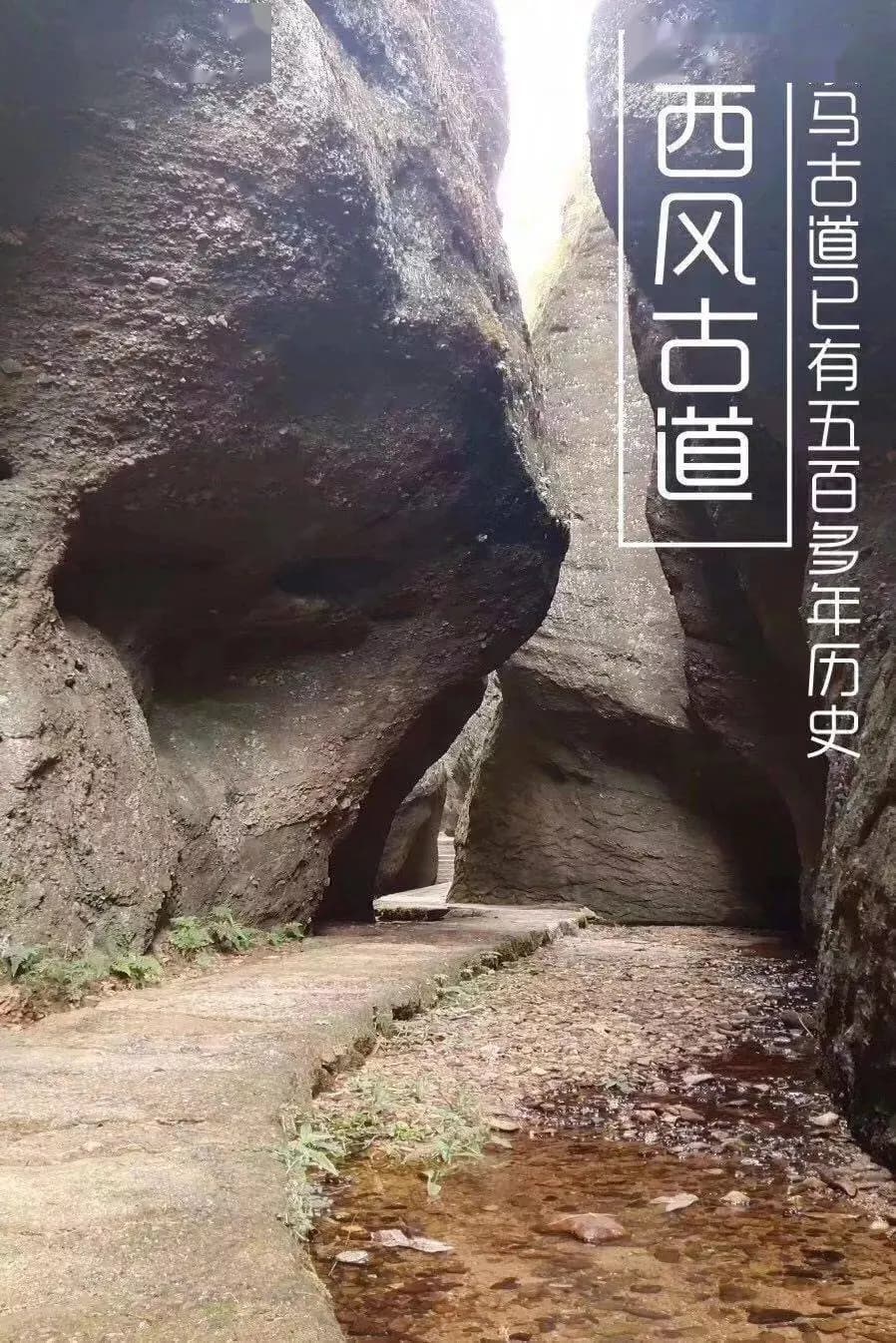 龙岩