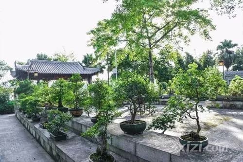 红棉水榭