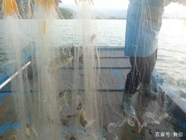 盐洲岛