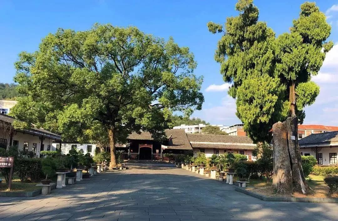 龙岩