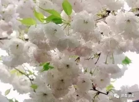 李和美屋