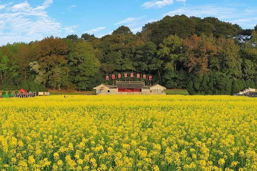龙岩